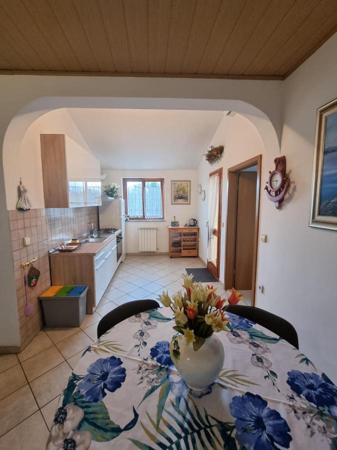 Apartments Jana Umag Zewnętrze zdjęcie
